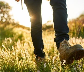 Wandern, Wiese, Sonnenschein