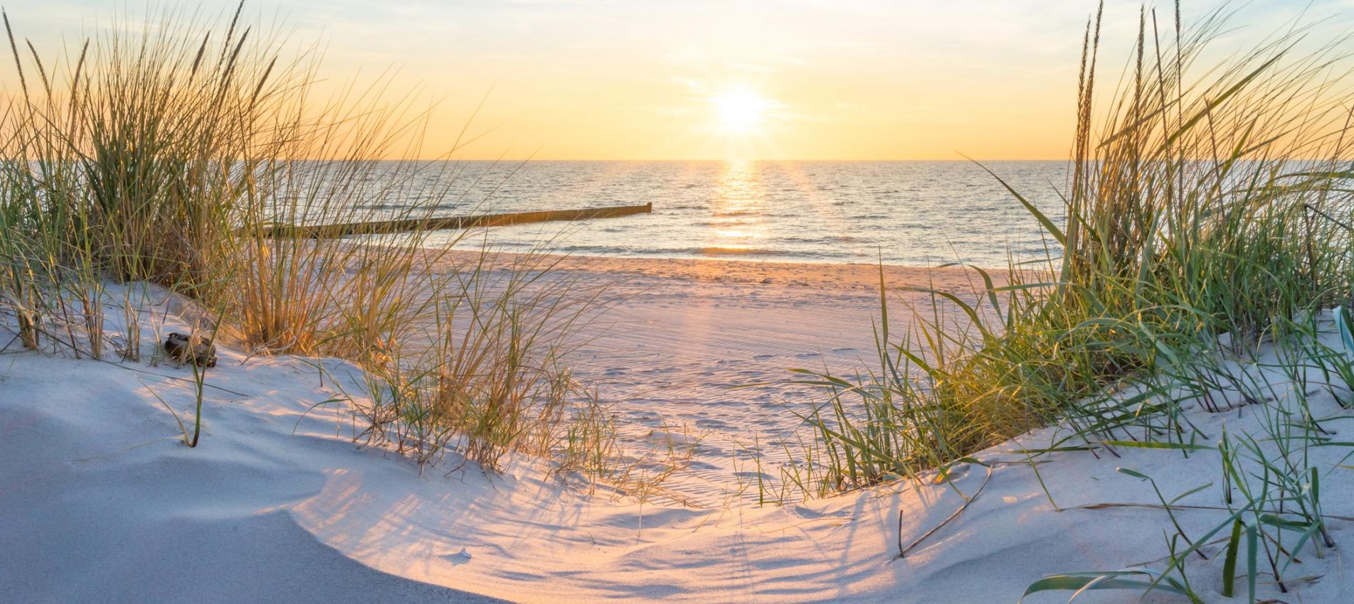 Logo von Sommer, Sand und Strandhotel