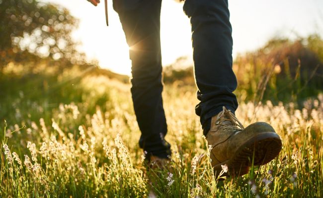 Wandern, Wiese, Sonnenschein