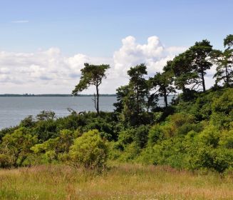 Logo von Loddiner Höft