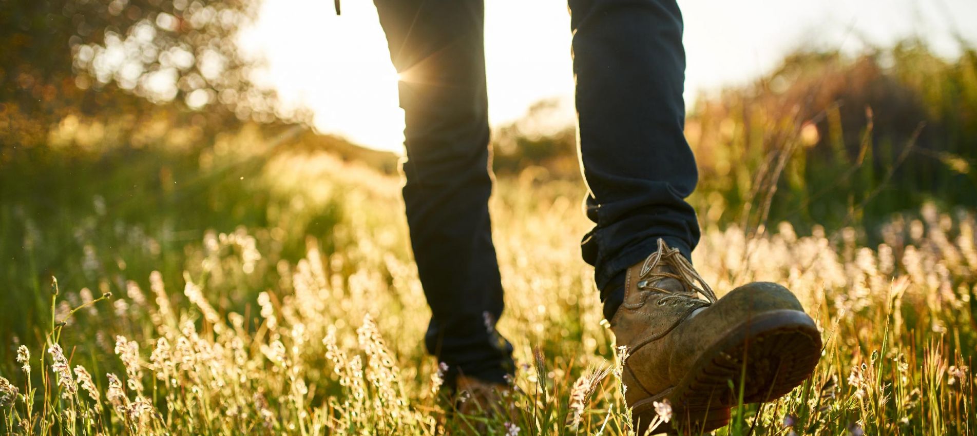 Logo von Zempiner Wanderwege