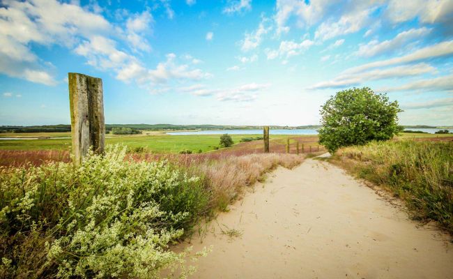 Wanderweg im Loddiner Höft