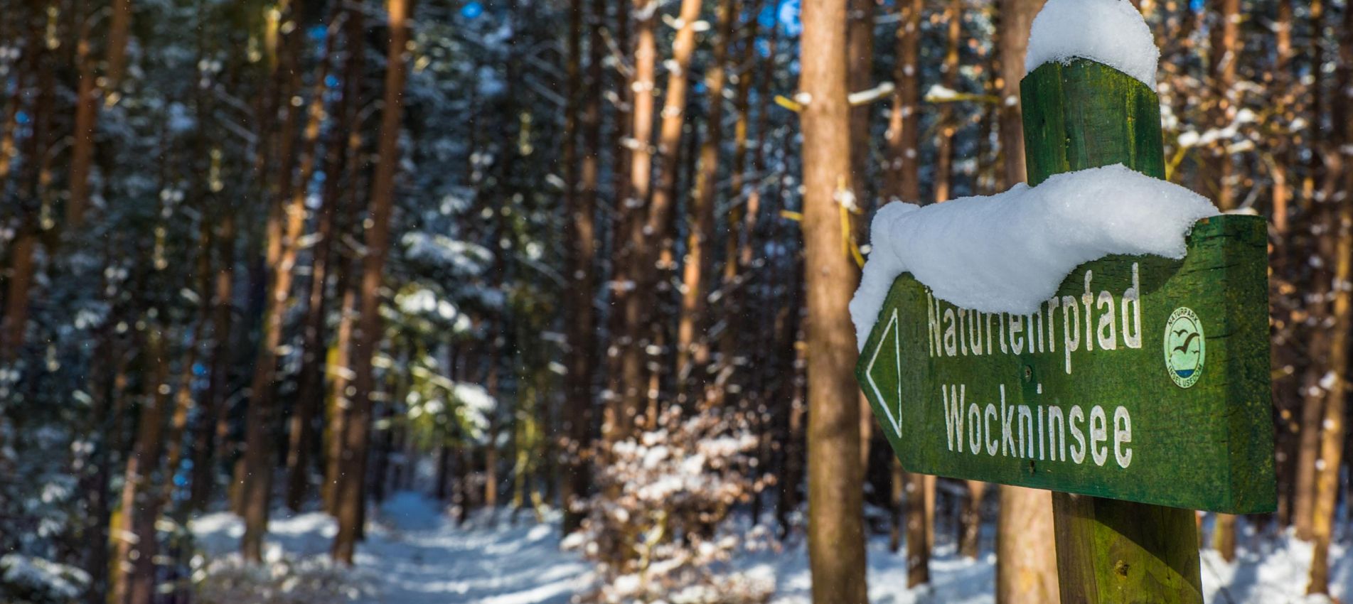 Naturlehrpfad Wockninsee im Winter