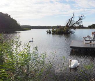 Schwäne im Kölpinsee, Steg mit Bank, Naturliebhaber