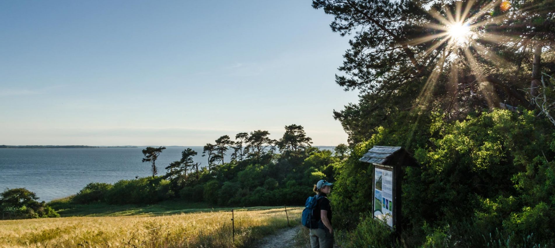 Logo von Wanderpfad zum Loddiner Höft