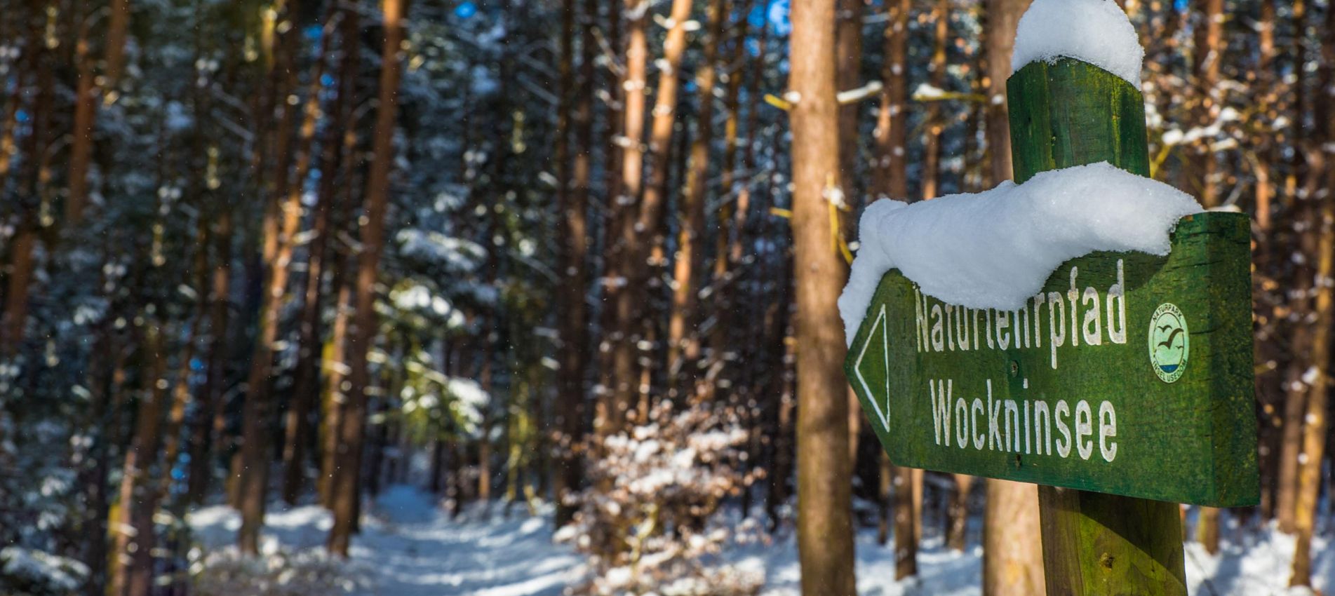 Naturlehrpfad Wockninsee im Winter