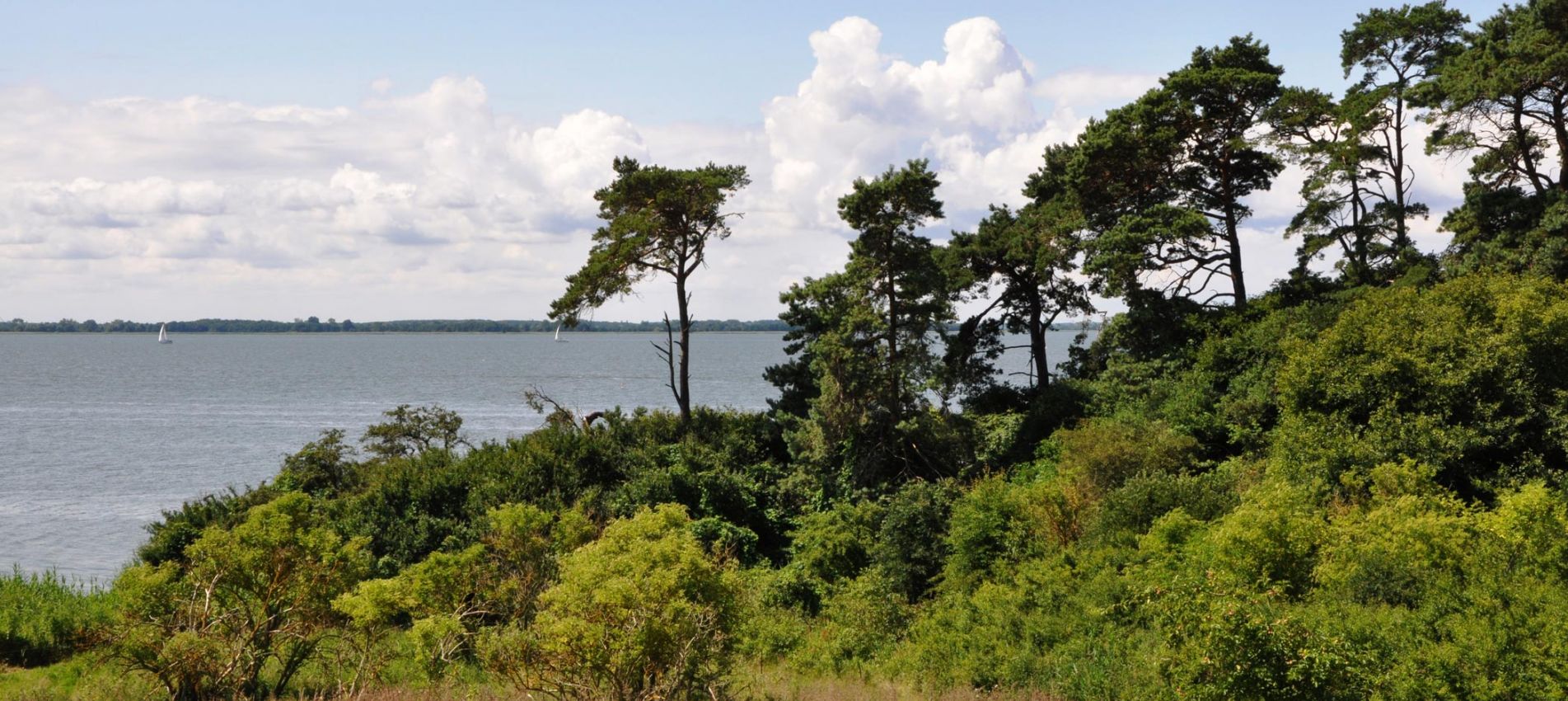 Logo von Loddiner Höft