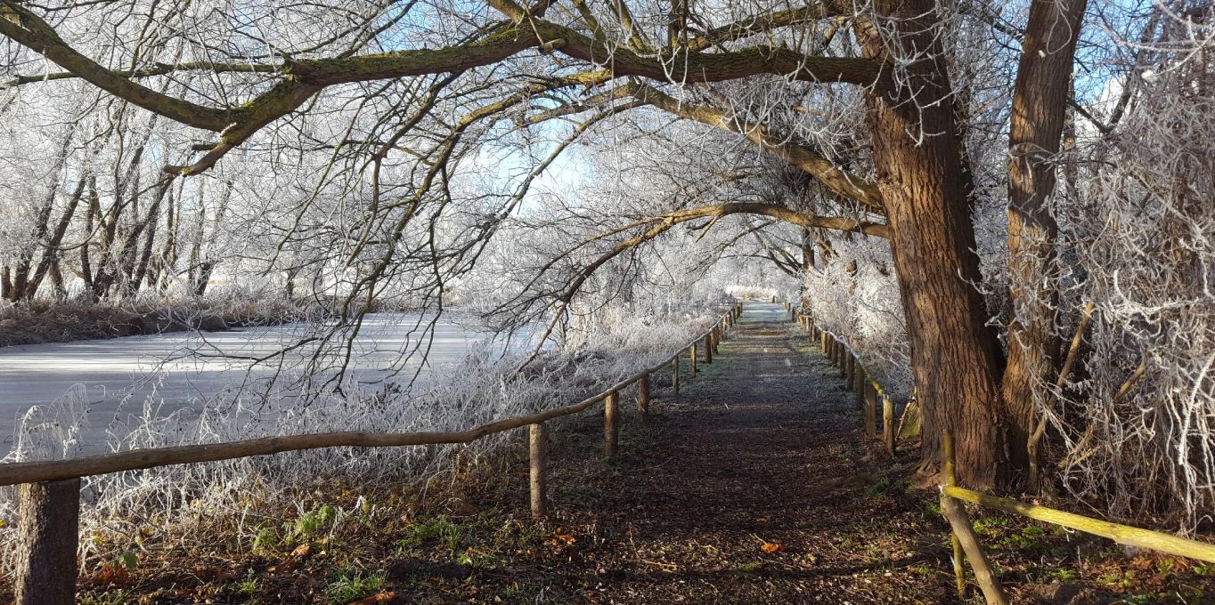 Wanderweg im Winter