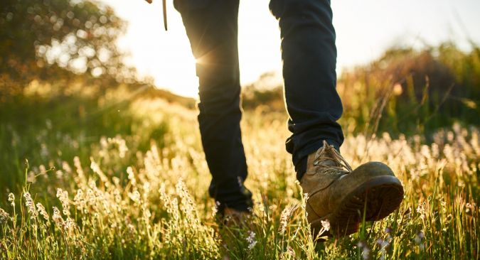 Wandern, Wiese, Sonnenschein