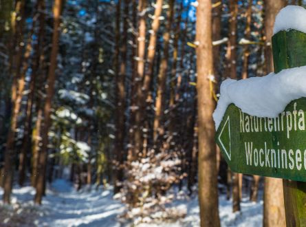 Naturlehrpfad Wockninsee im Winter