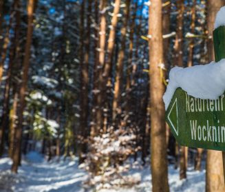 Naturlehrpfad Wockninsee im Winter