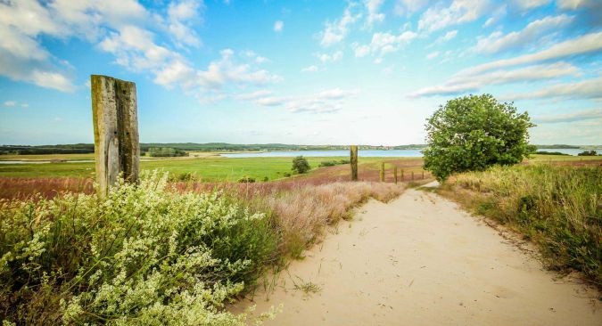 Wanderweg im Loddiner Höft